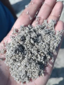 ভূঞাপুরে নৌকার বালু বিক্রয়