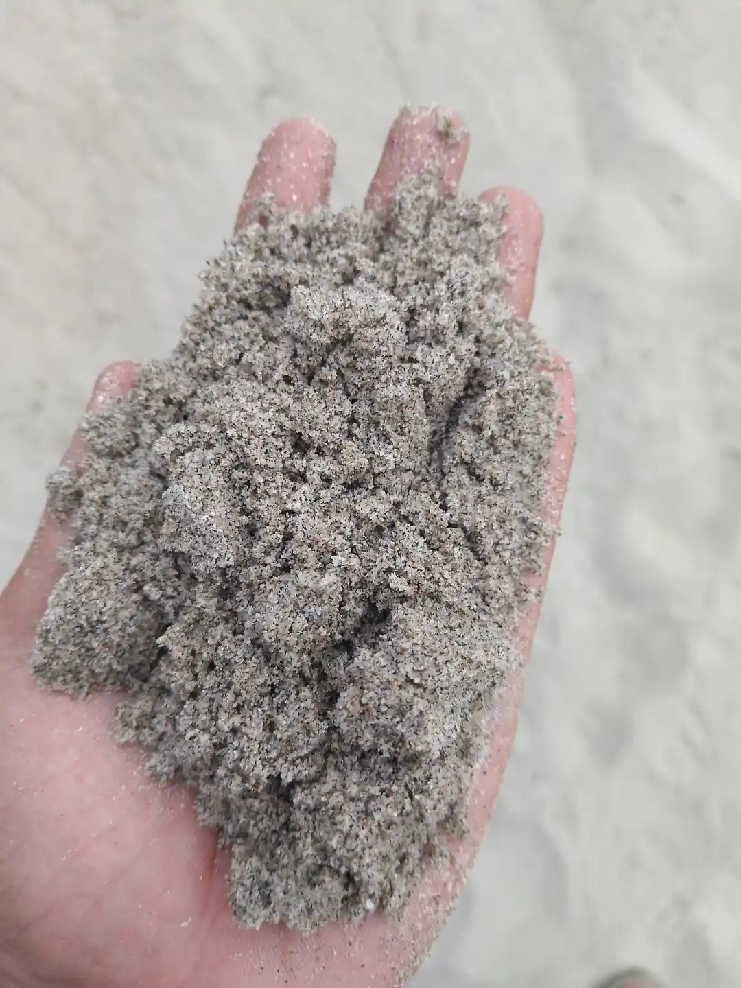 ভূঞাপুরের যমুনা নদীর বালু