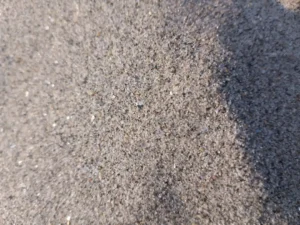 ভূঞাপুরের যমুনা নদীর বালু